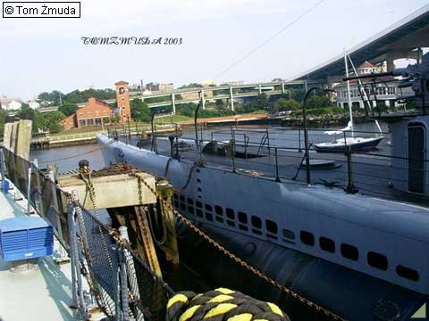 Lionfish SS 298, okręt podwodny