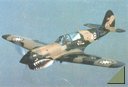 Curtiss P-40 Warhawk, samolot myśliwski